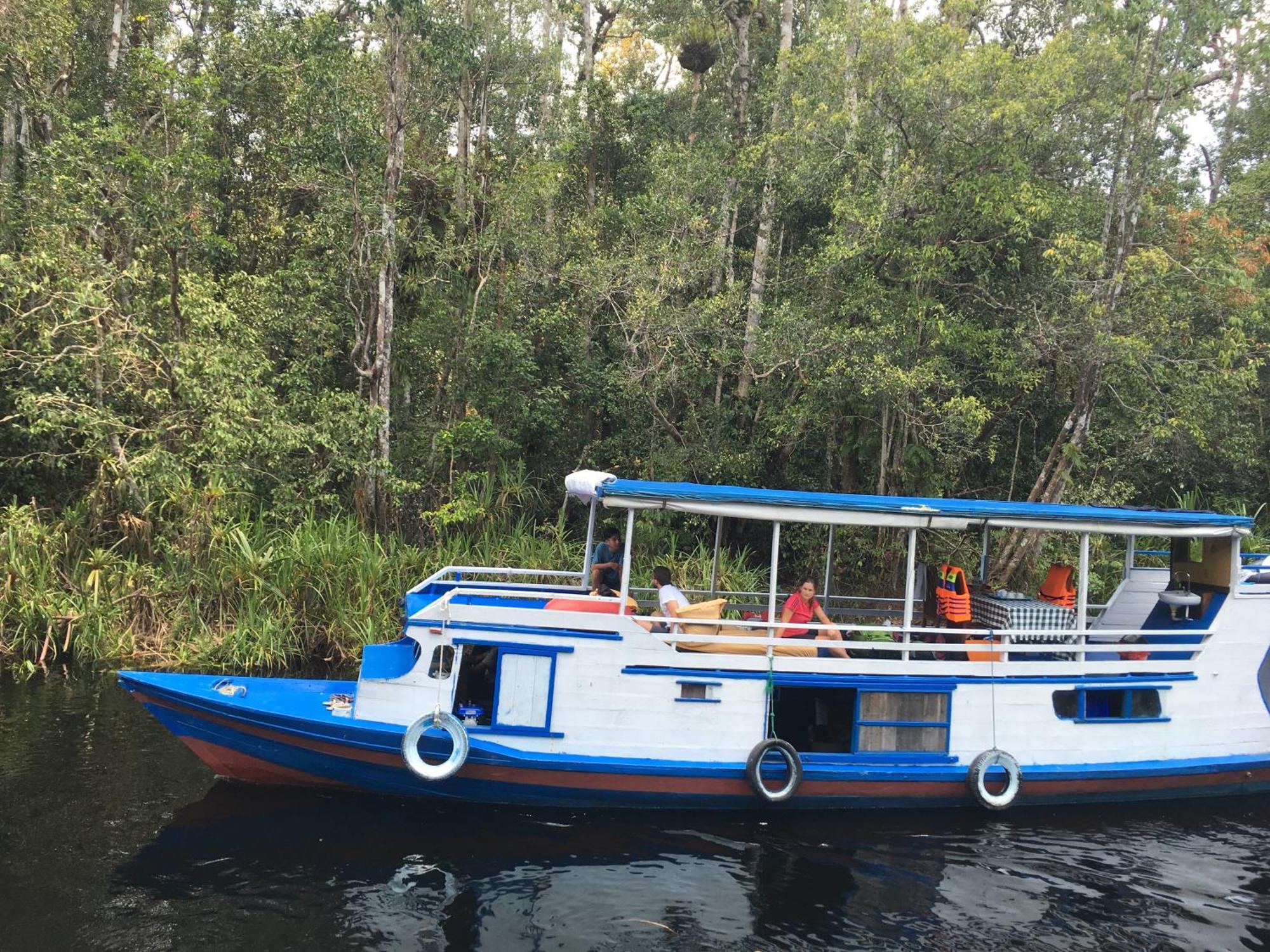 Orangutan Shaka Houseboat With Cabin Pangkalan Bun Bagian luar foto