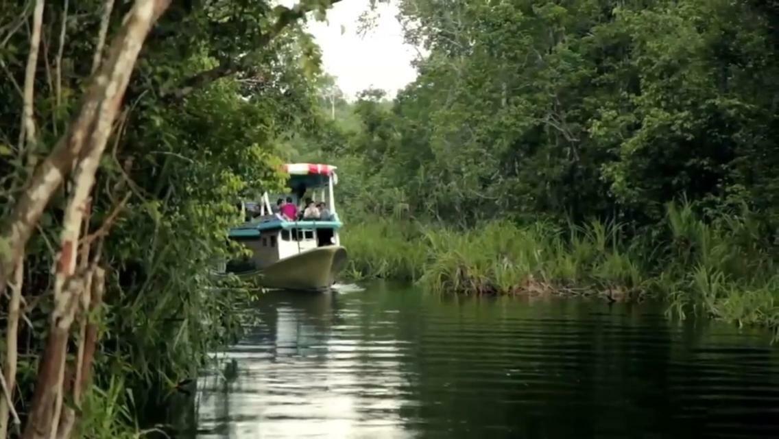 Orangutan Shaka Houseboat With Cabin Pangkalan Bun Bagian luar foto