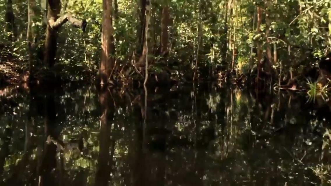 Orangutan Shaka Houseboat With Cabin Pangkalan Bun Bagian luar foto